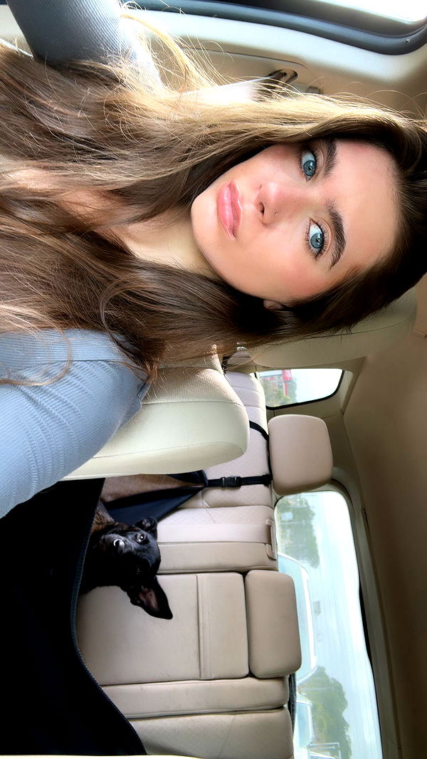 mckinley_1 image ~ Altpins