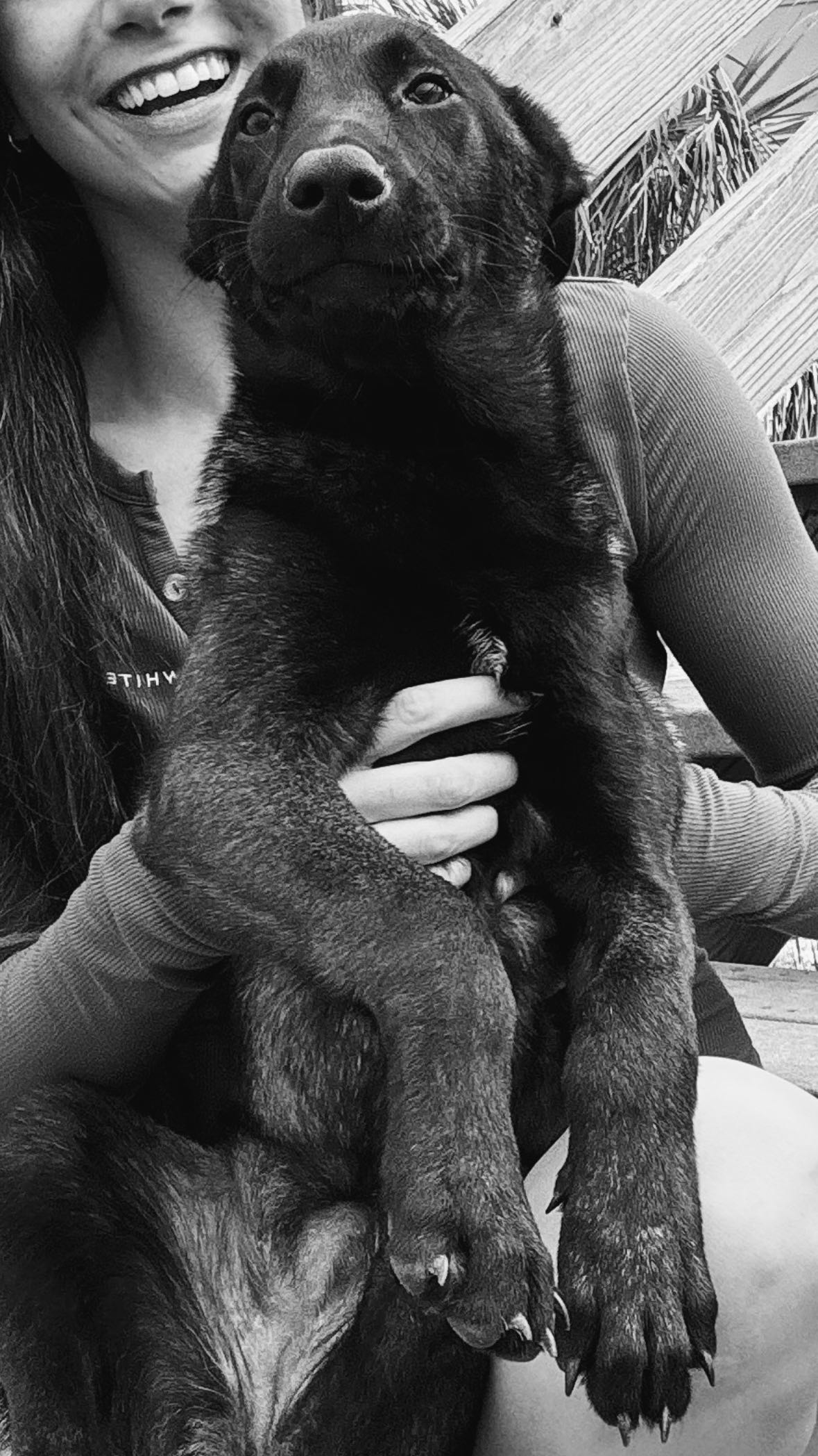 mckinley_1 snapchat image archive image