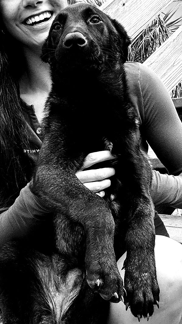 mckinley_1 image ~ Altpins