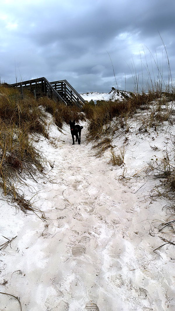 mckinley_1 image ~ Altpins