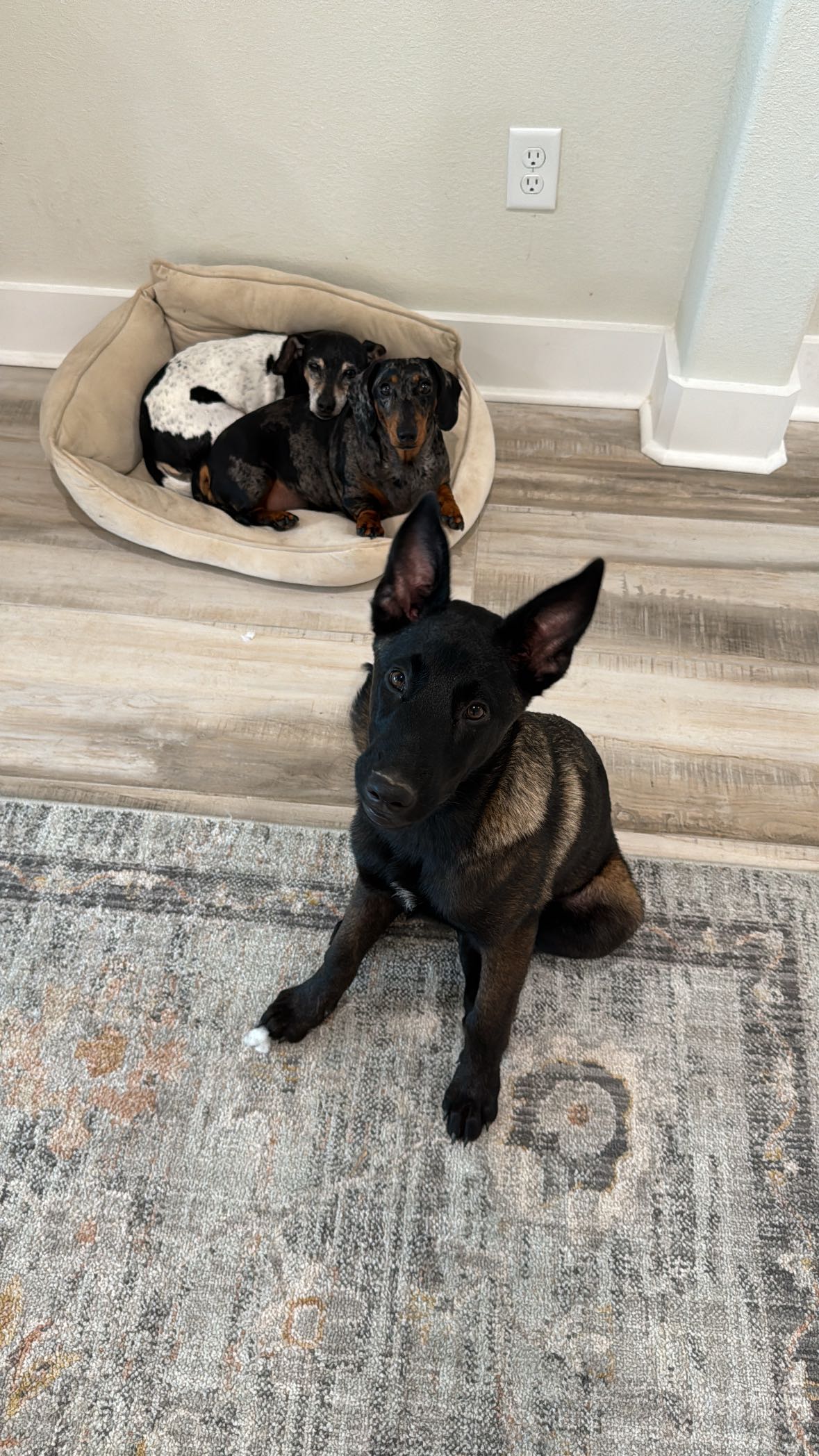 mckinley_1 snapchat image archive image