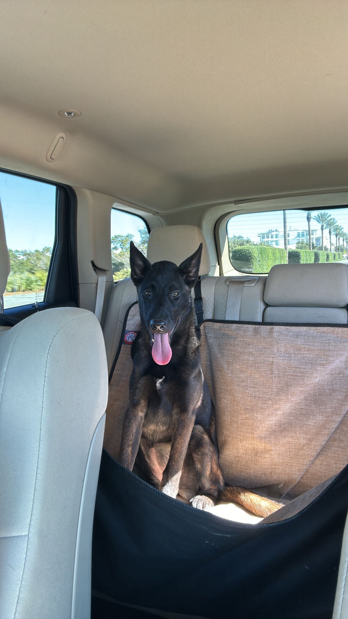 mckinley_1 snapchat image archive image