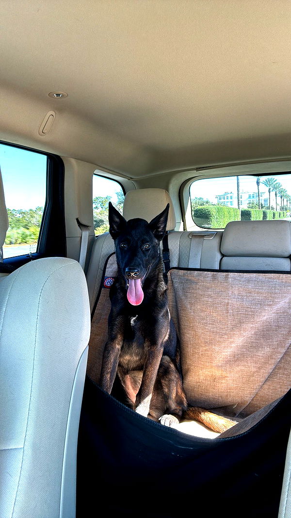 mckinley_1 image ~ Altpins