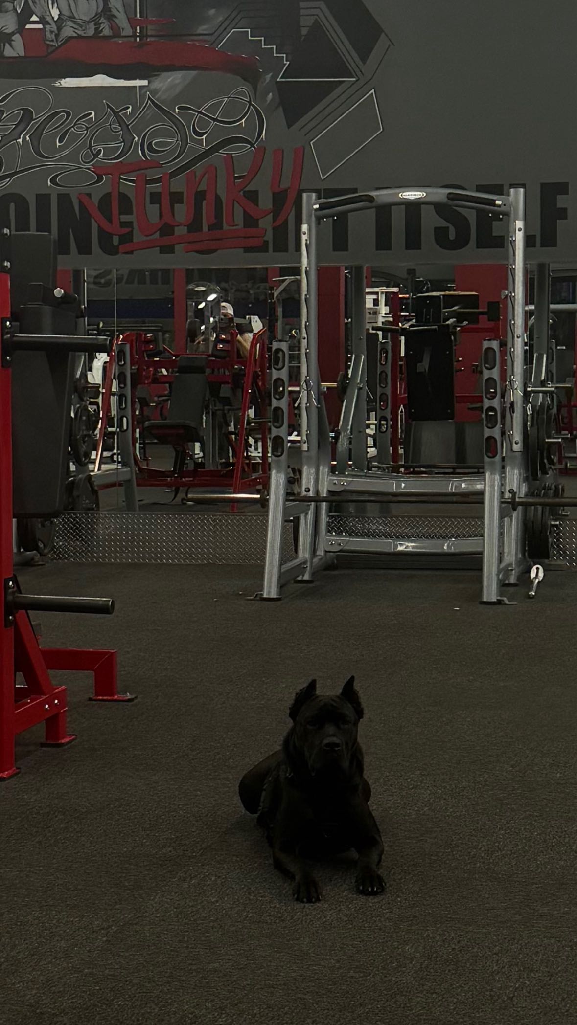 mckinley_1 snapchat image archive image