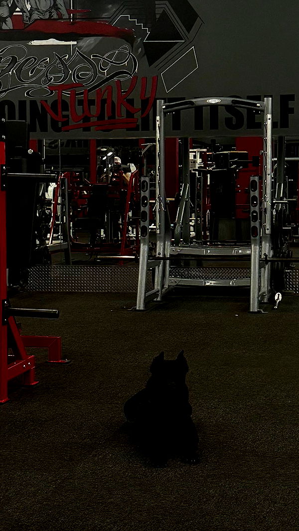 mckinley_1 image ~ Altpins