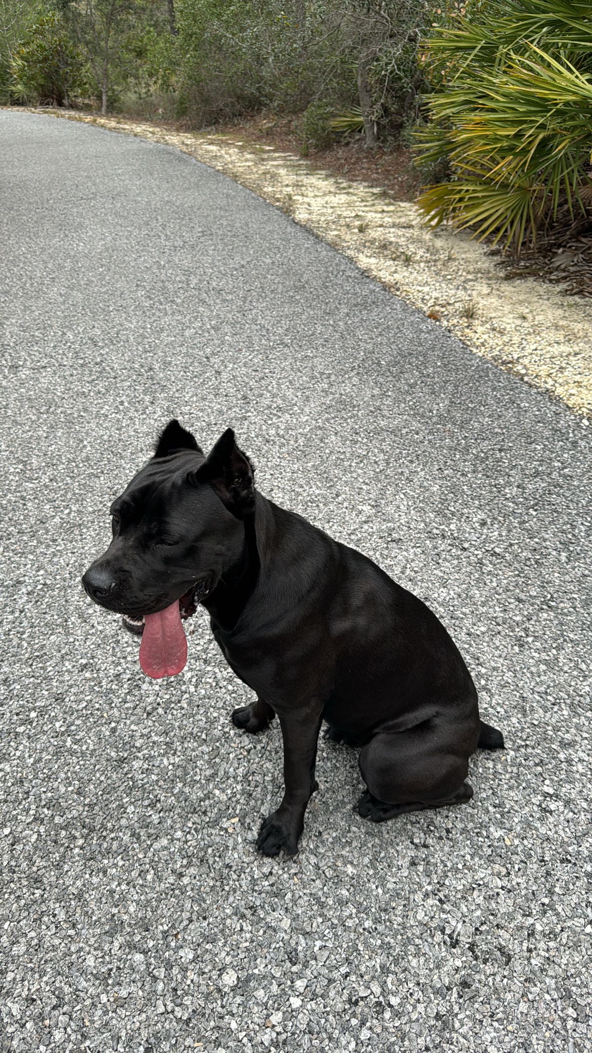 mckinley_1 snapchat image archive image