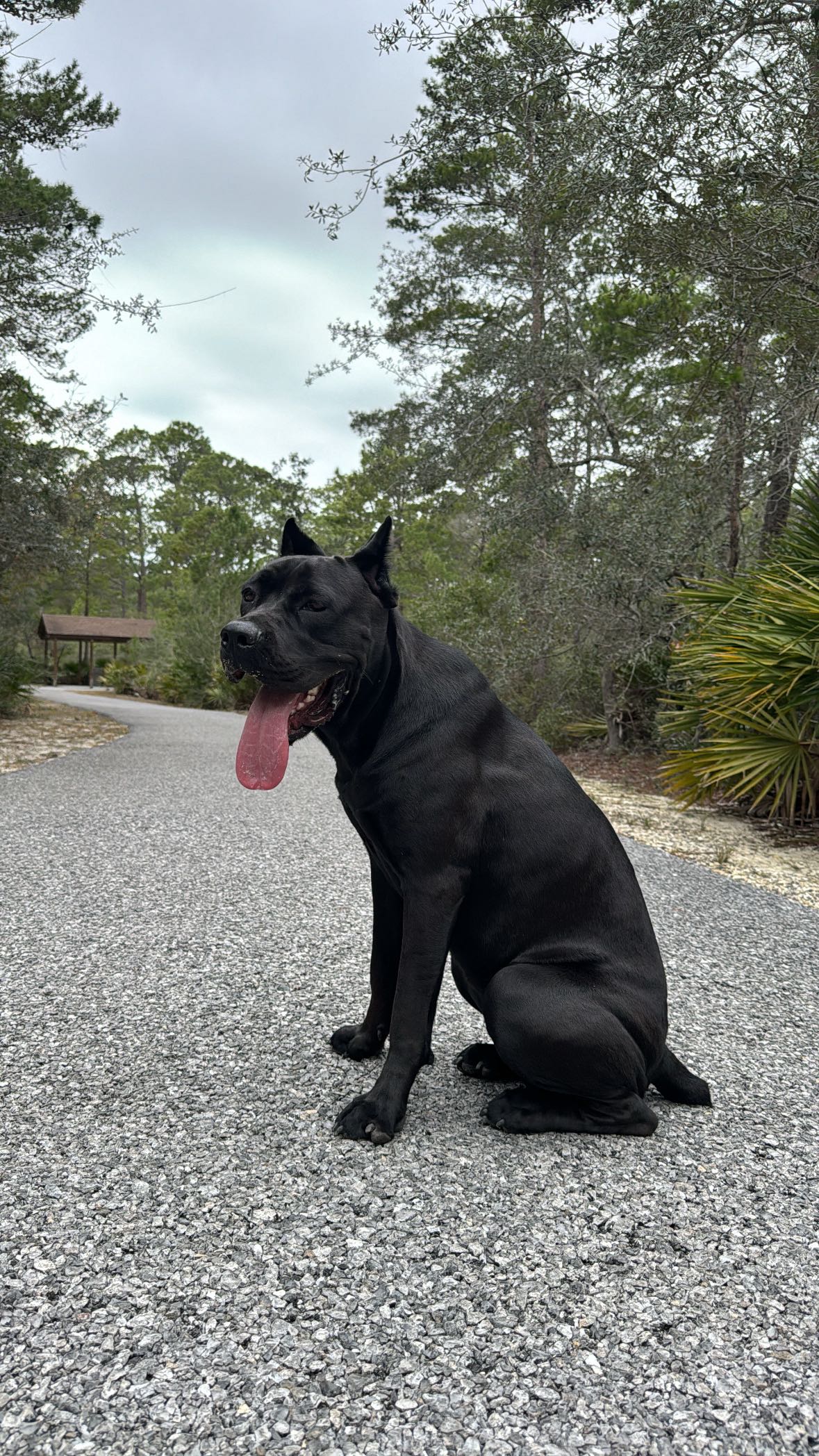 mckinley_1 snapchat image archive image