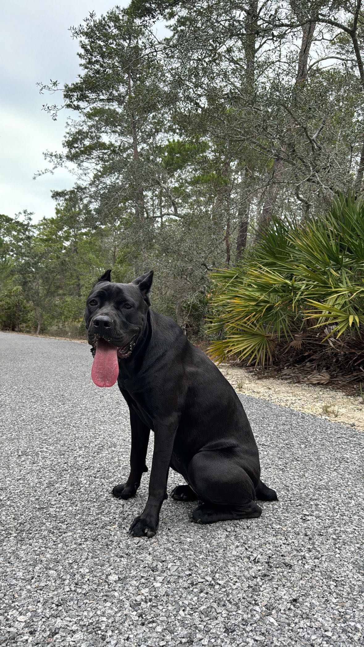 mckinley_1 snapchat image archive image