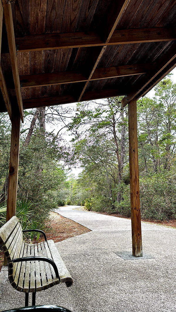 mckinley_1 image ~ Altpins