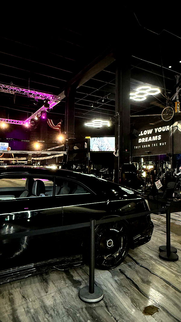 mckinley_1 image ~ Altpins