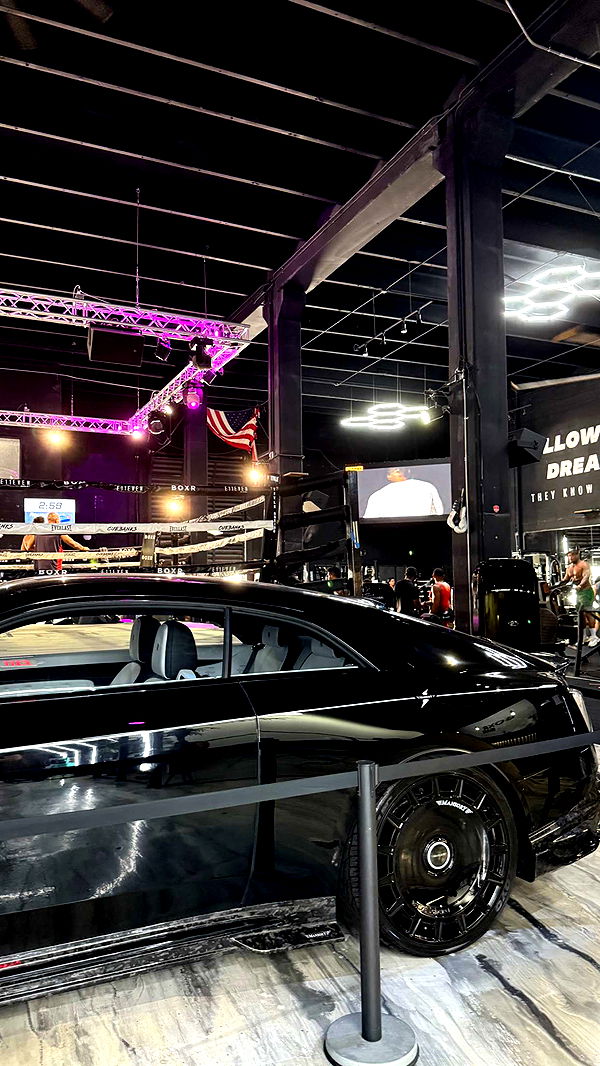 mckinley_1 image ~ Altpins