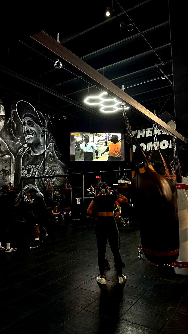 mckinley_1 image ~ Altpins