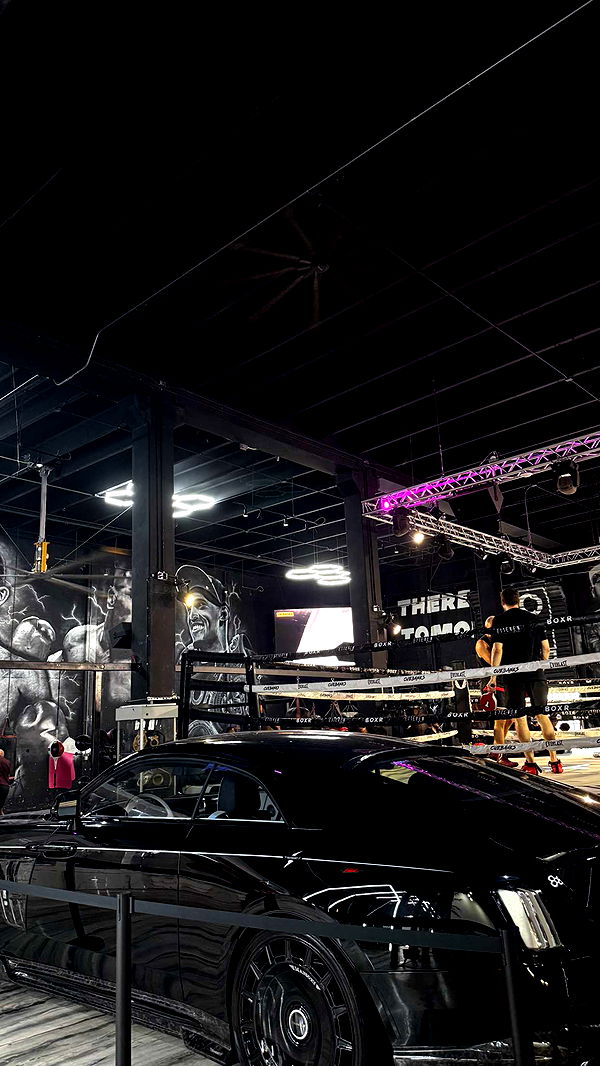 mckinley_1 image ~ Altpins