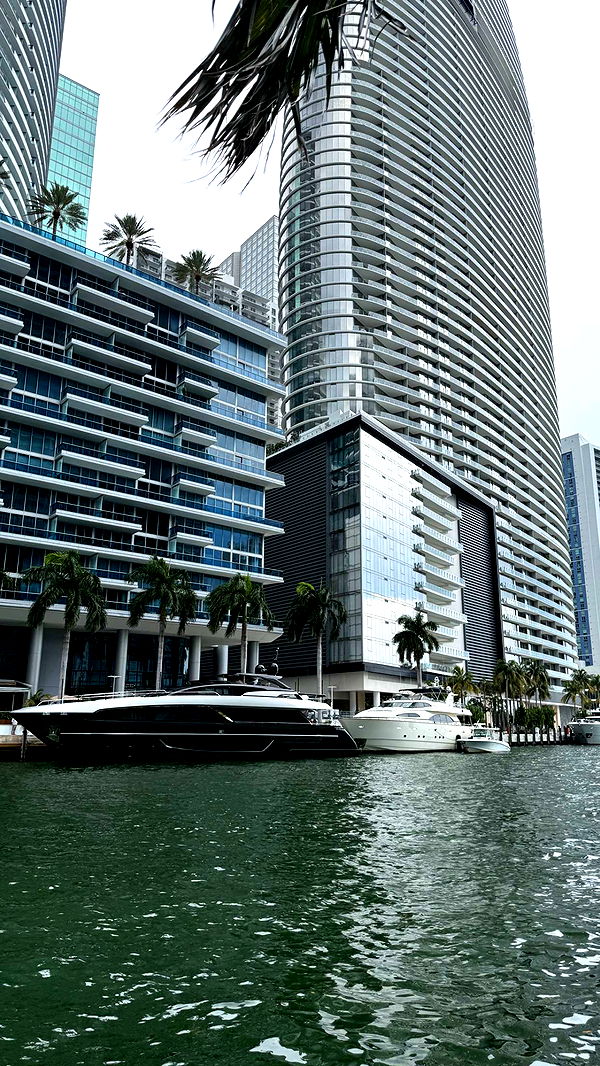 mckinley_1 image ~ Altpins