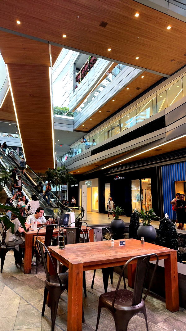 mckinley_1 image ~ Altpins