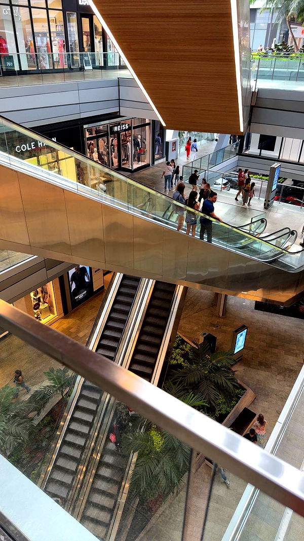 mckinley_1 image ~ Altpins