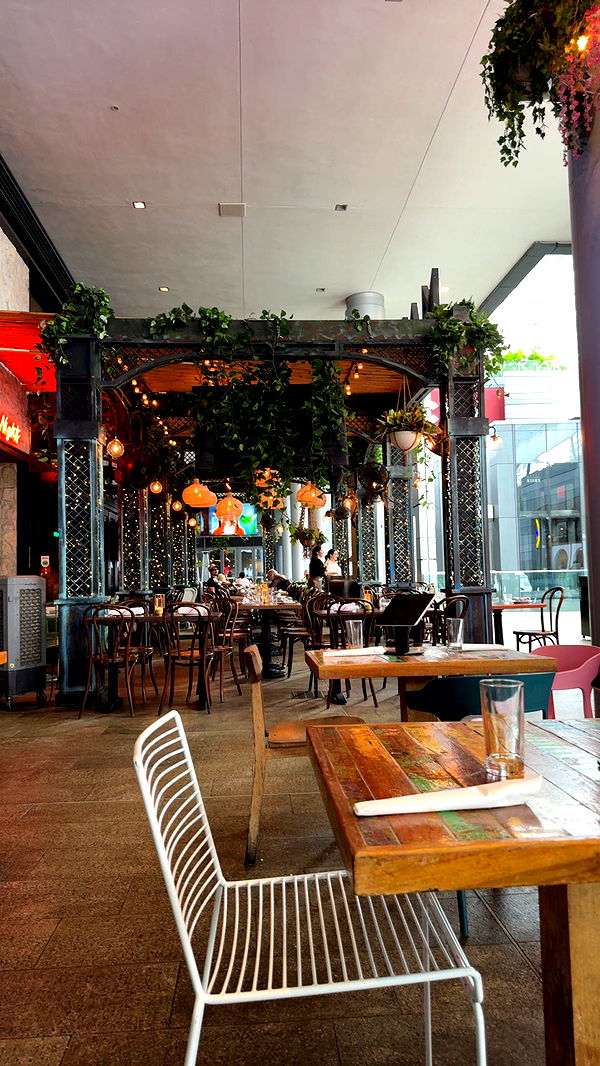 mckinley_1 image ~ Altpins