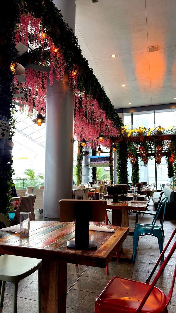 mckinley_1 image ~ Altpins