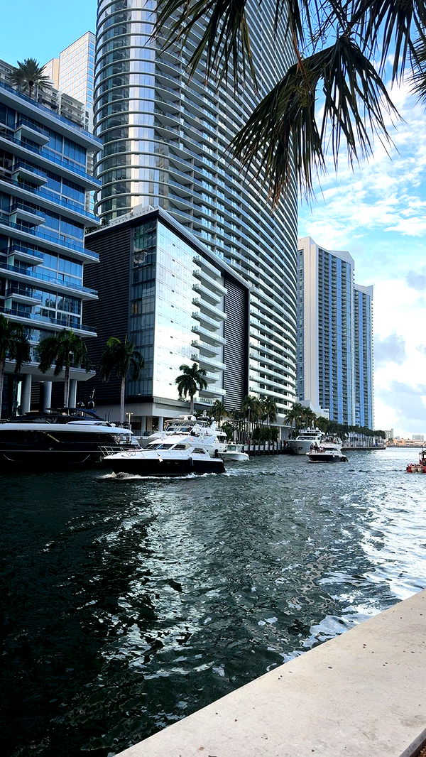 mckinley_1 image ~ Altpins