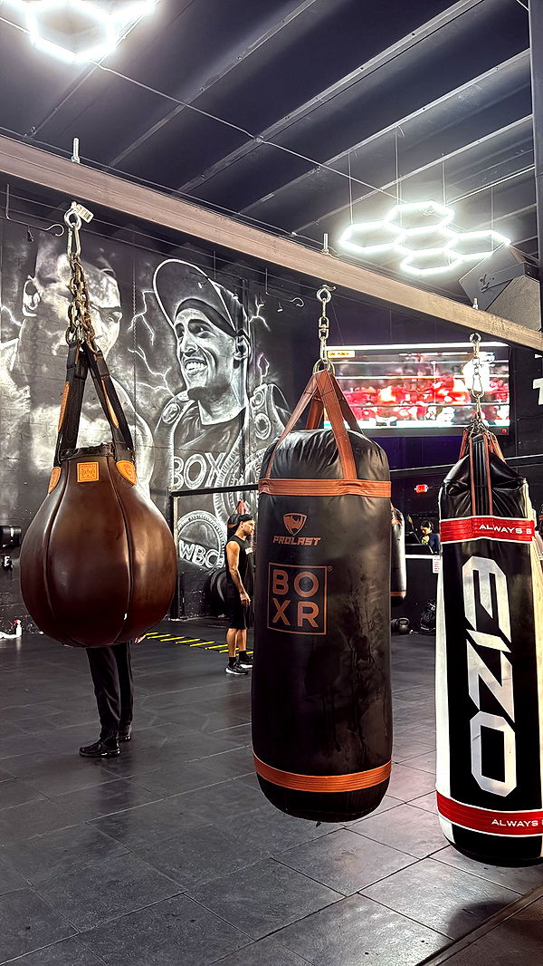 mckinley_1 image ~ Altpins