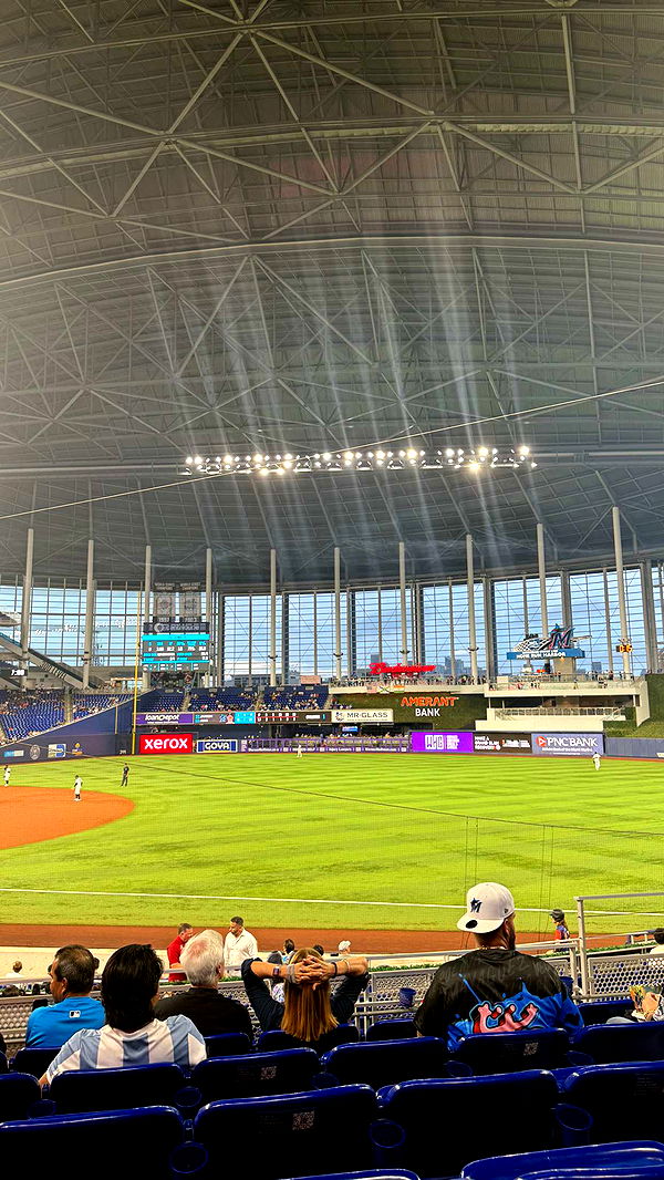 mckinley_1 image ~ Altpins