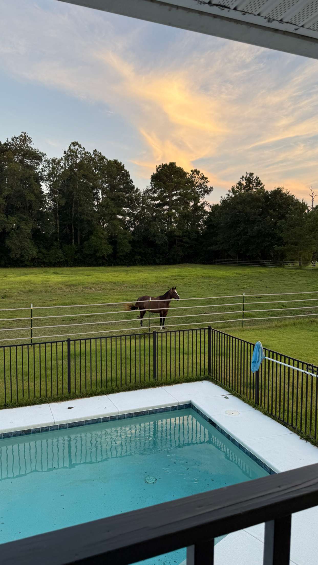 mckinley_1 snapchat image archive image