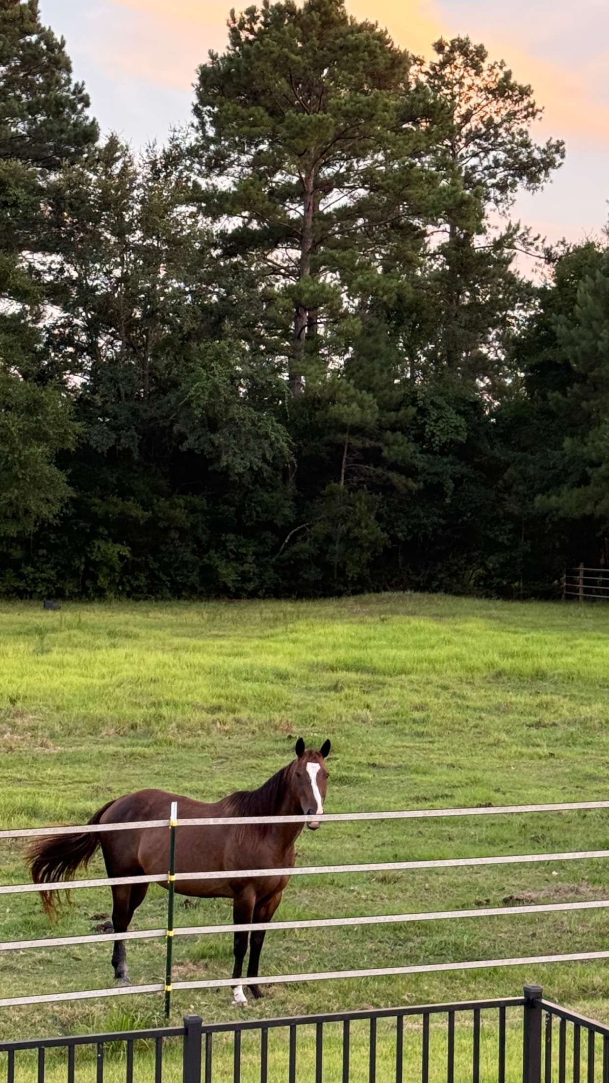 mckinley_1 snapchat image archive image