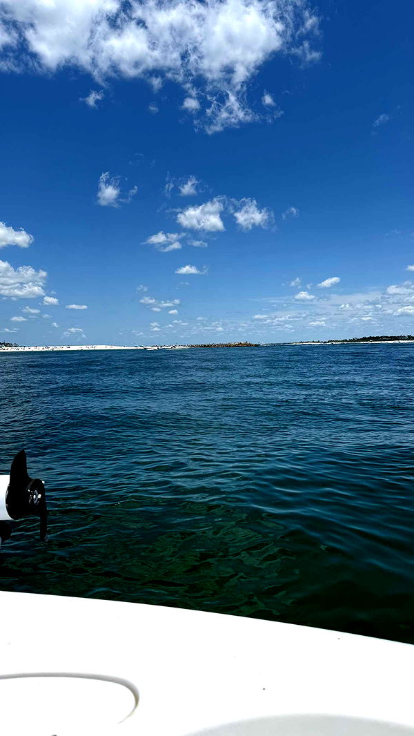 mckinley_1 image ~ Altpins