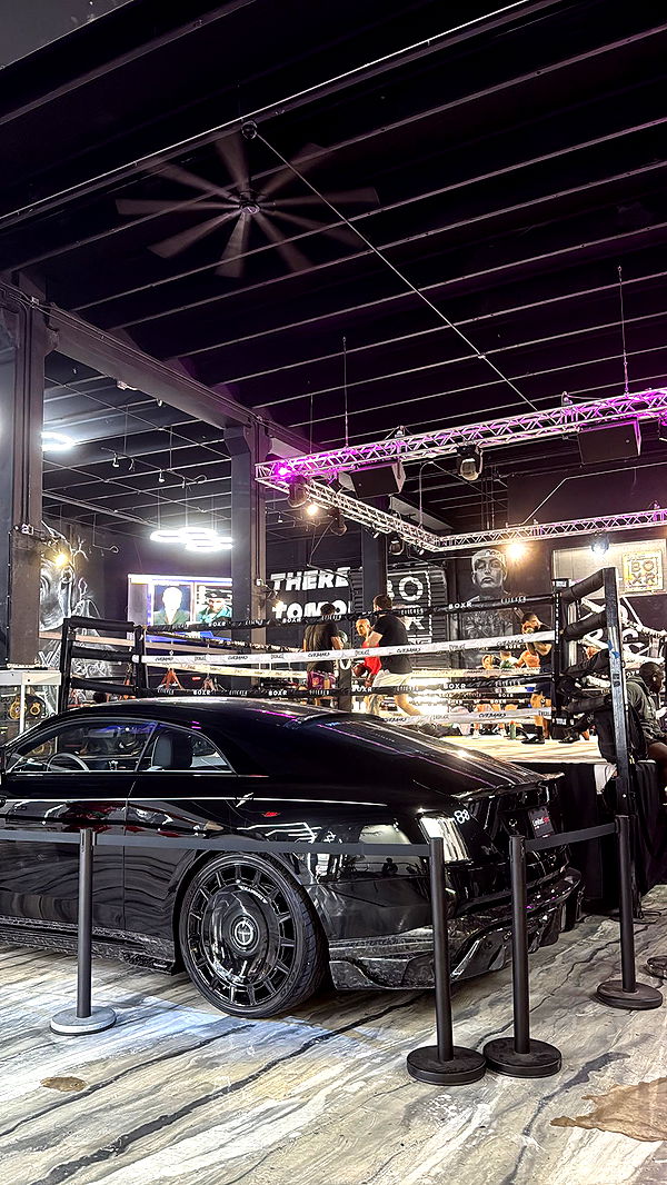 mckinley_1 image ~ Altpins