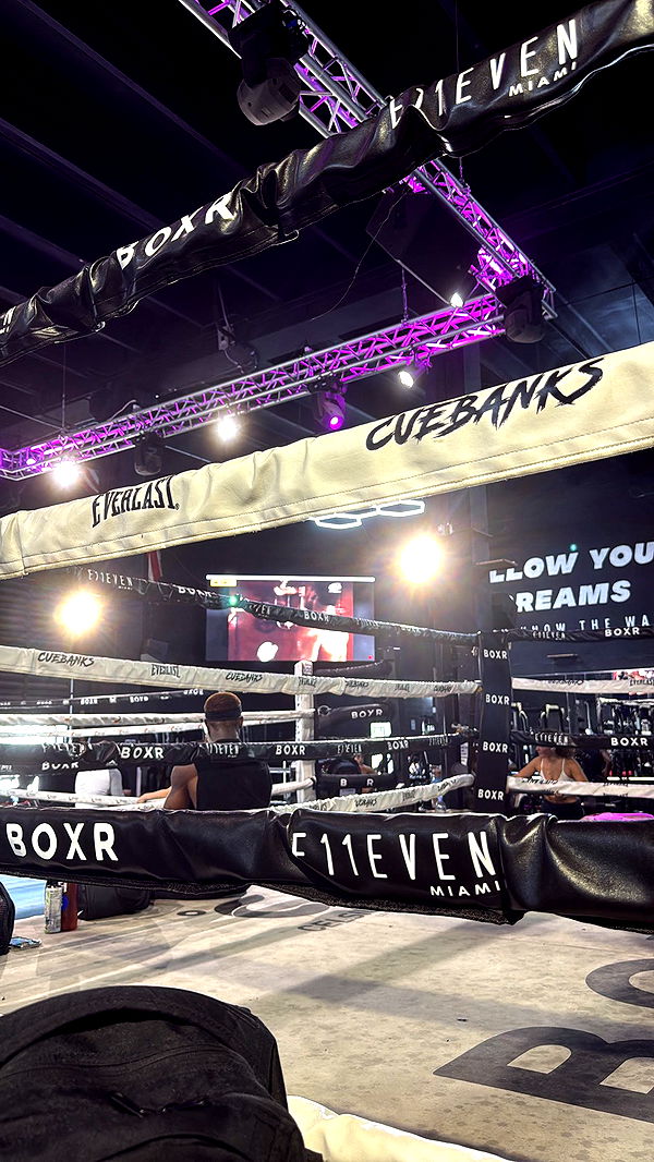 mckinley_1 image ~ Altpins