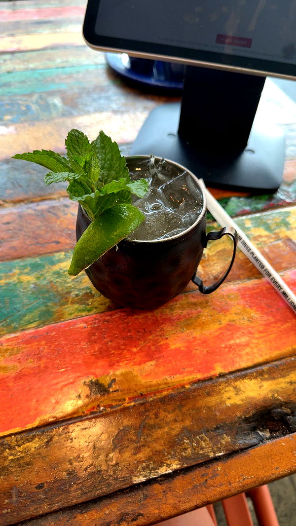 mckinley_1 image ~ Altpins