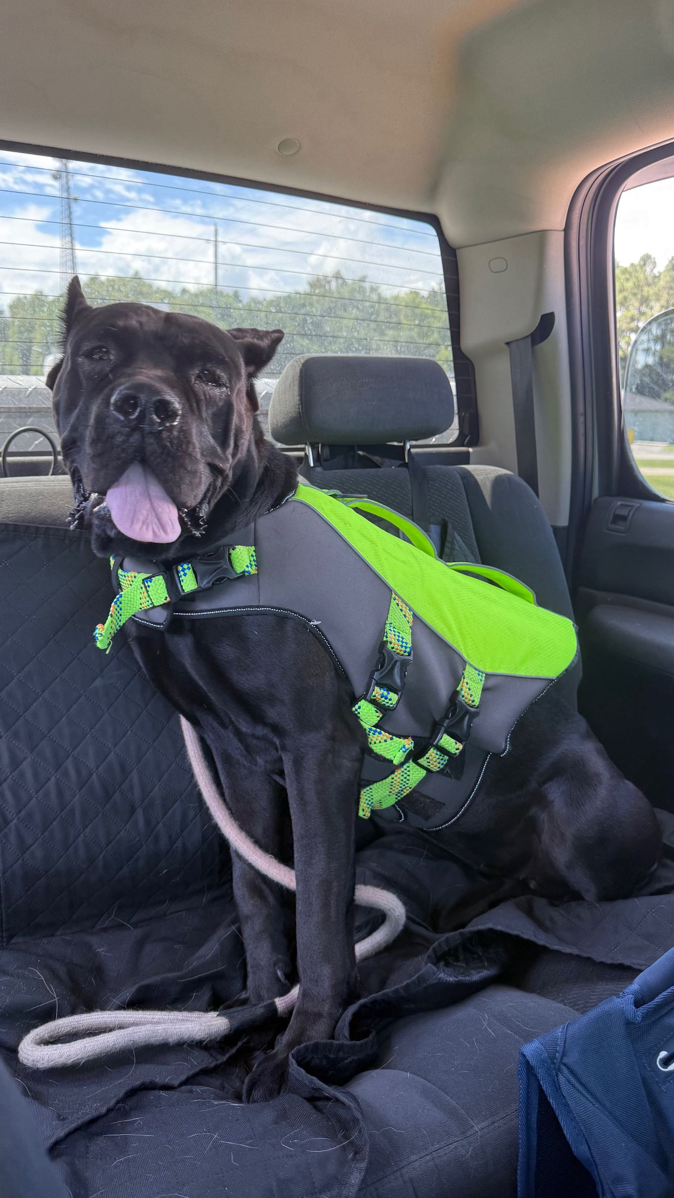 mckinley_1 snapchat image archive image