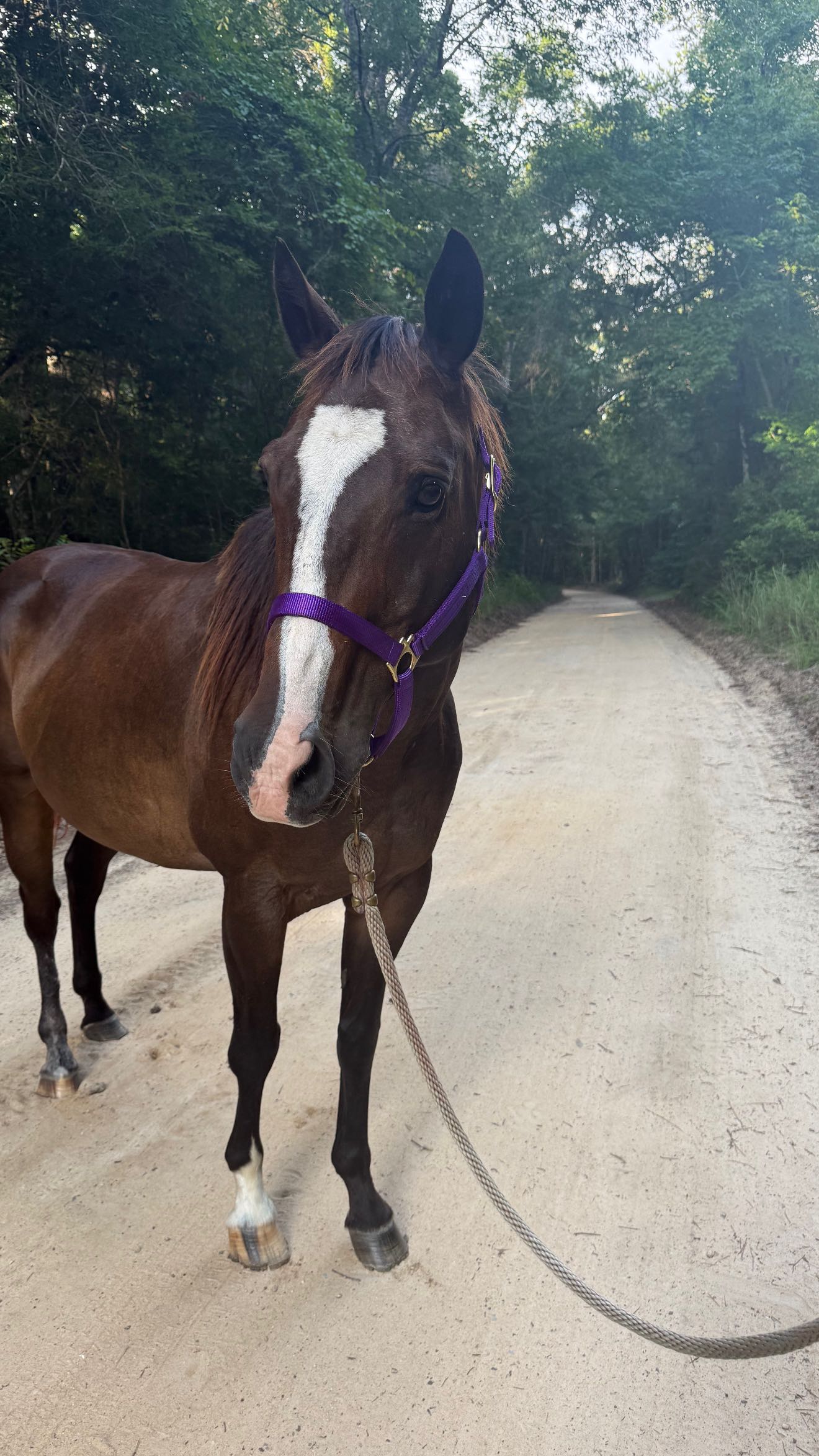 mckinley_1 snapchat image archive image