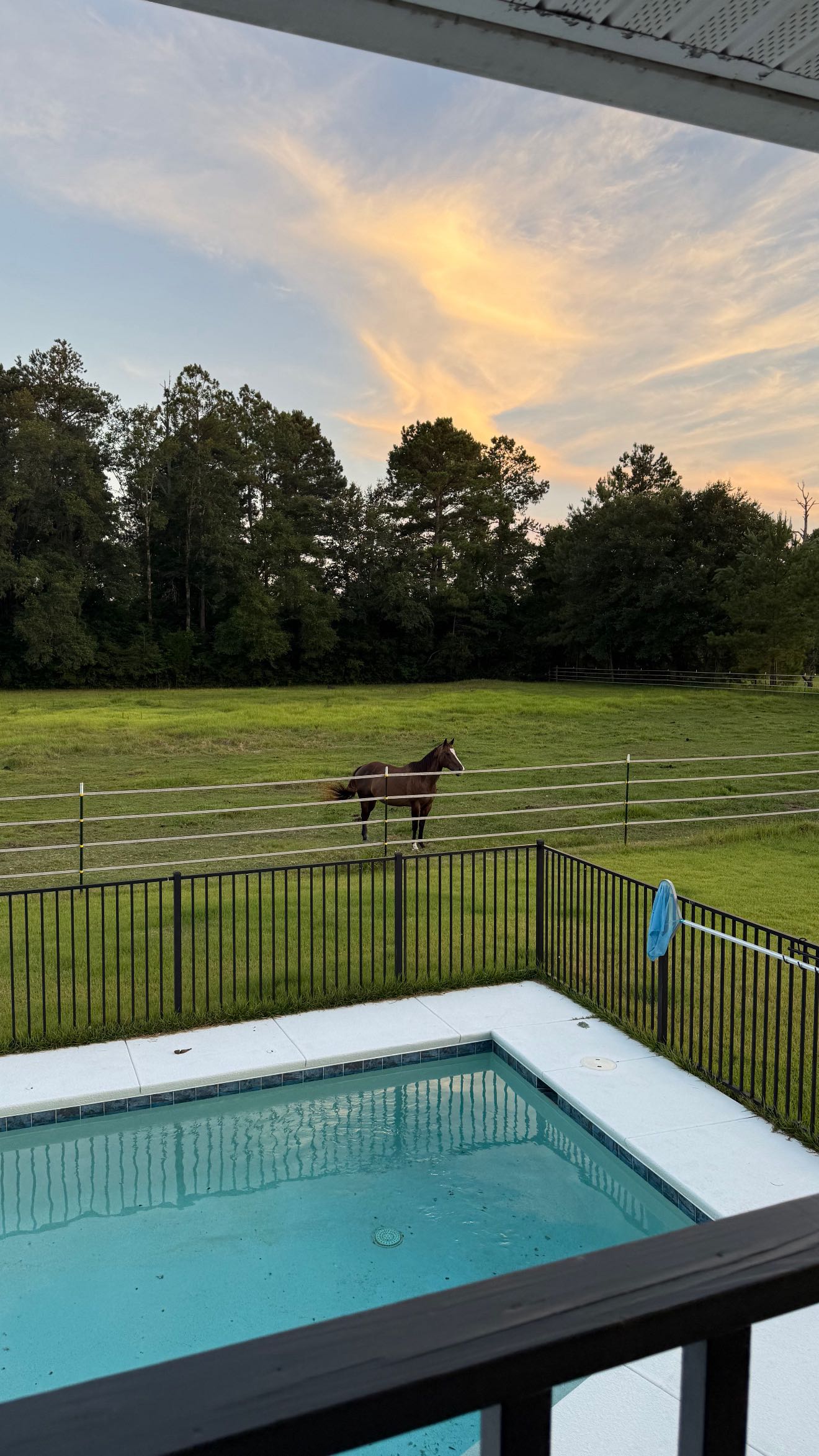 mckinley_1 snapchat image archive image