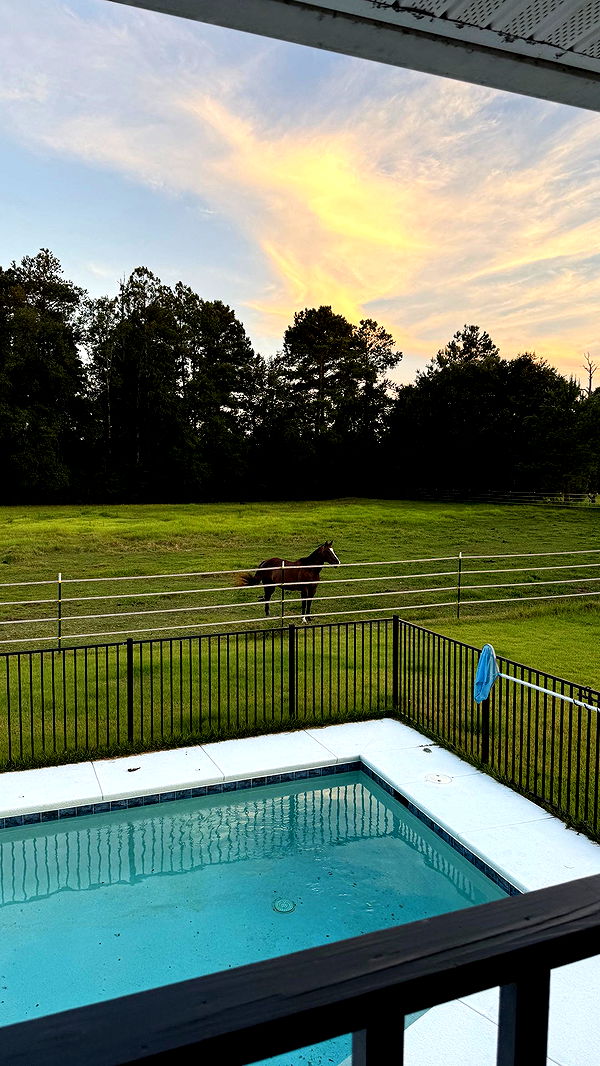 mckinley_1 image ~ Altpins