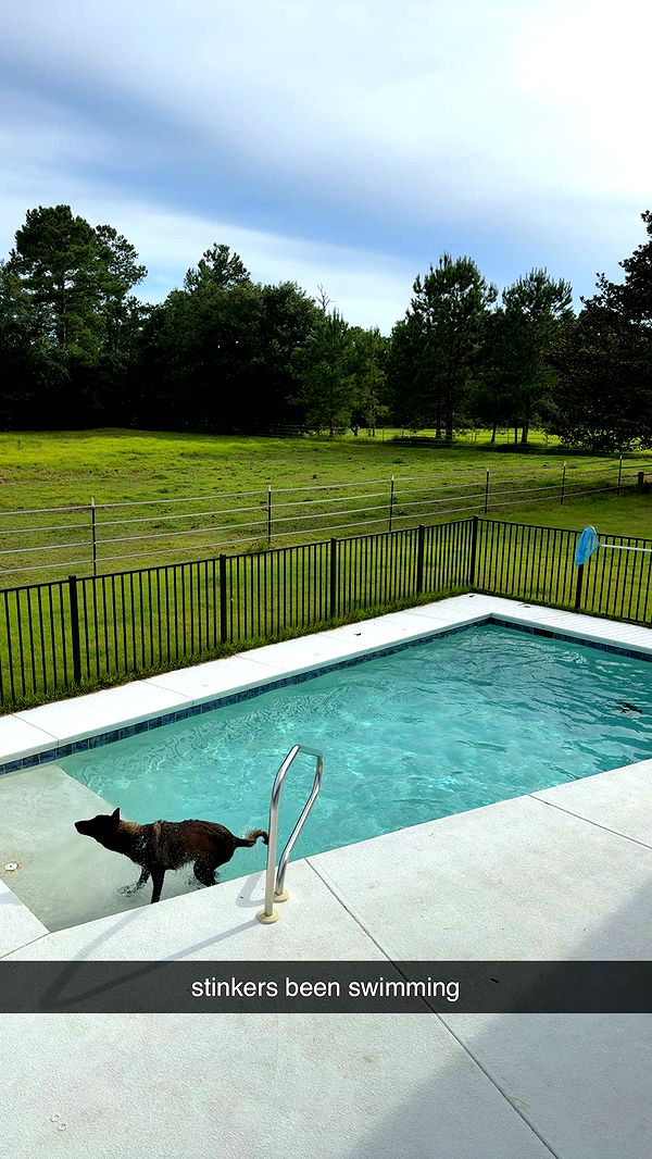 mckinley_1 image ~ Altpins