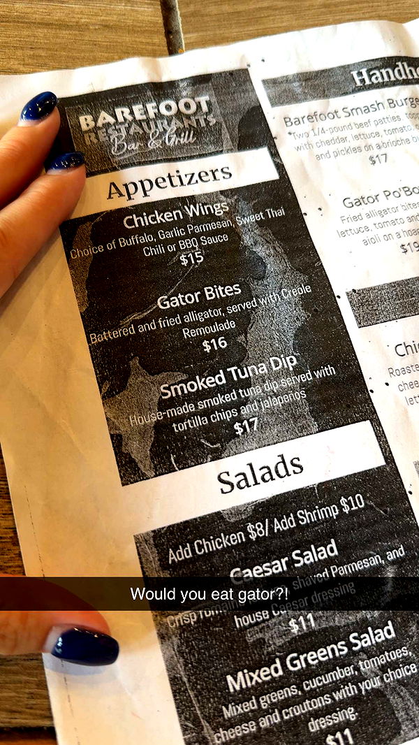 mckinley_1 image ~ Altpins