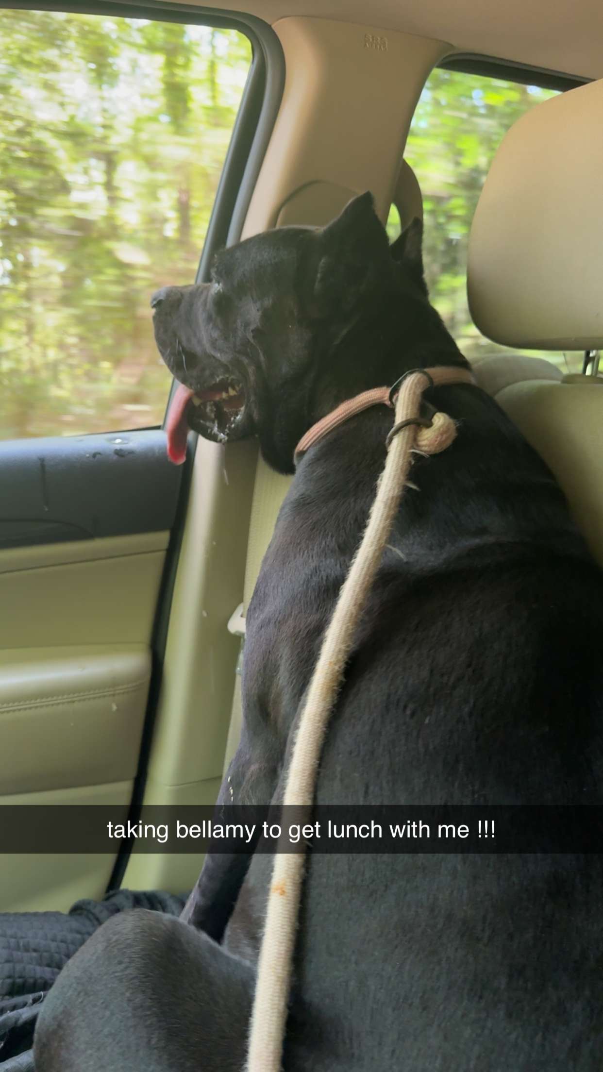 mckinley_1 snapchat image archive image