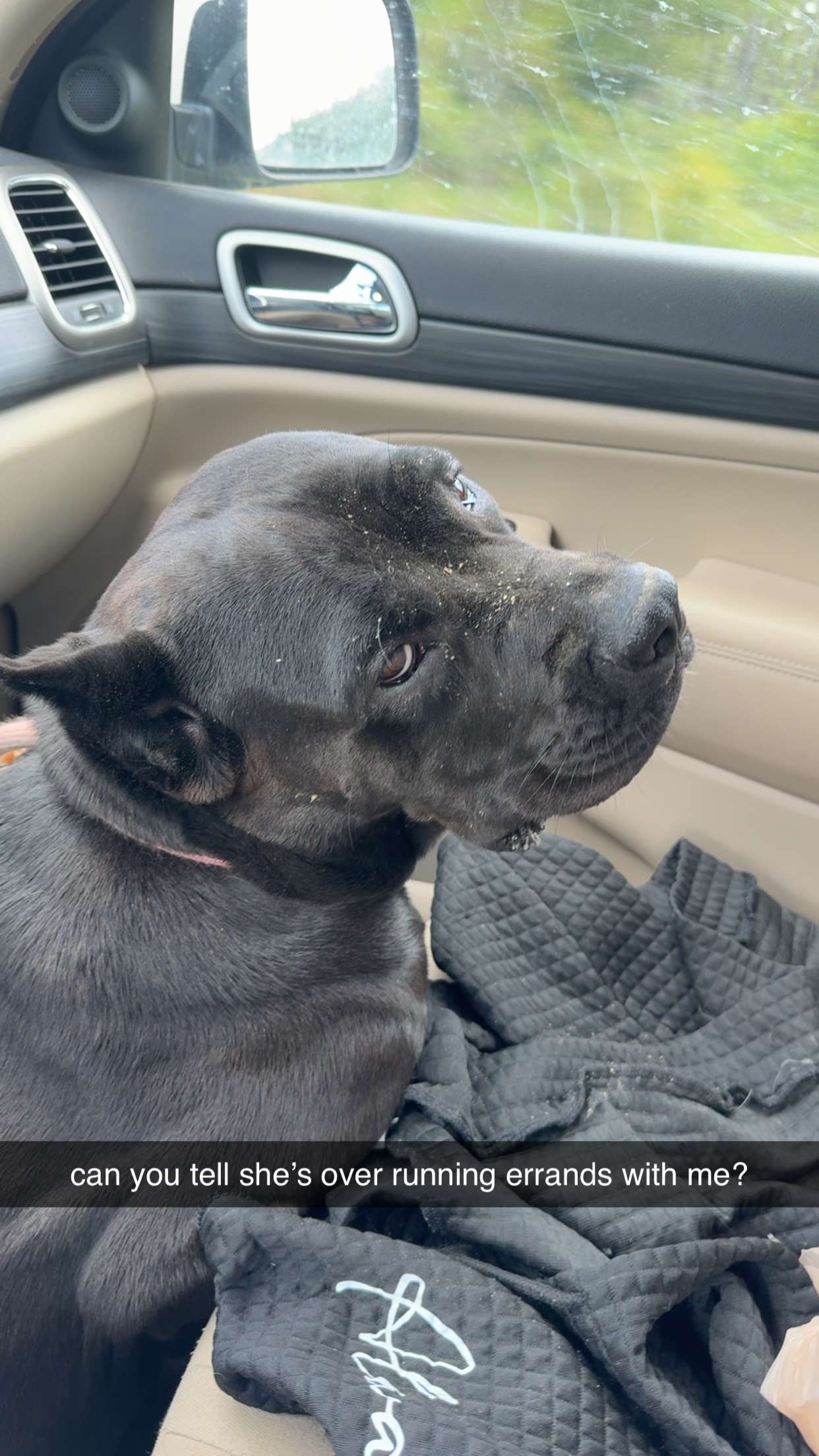 mckinley_1 snapchat image archive image