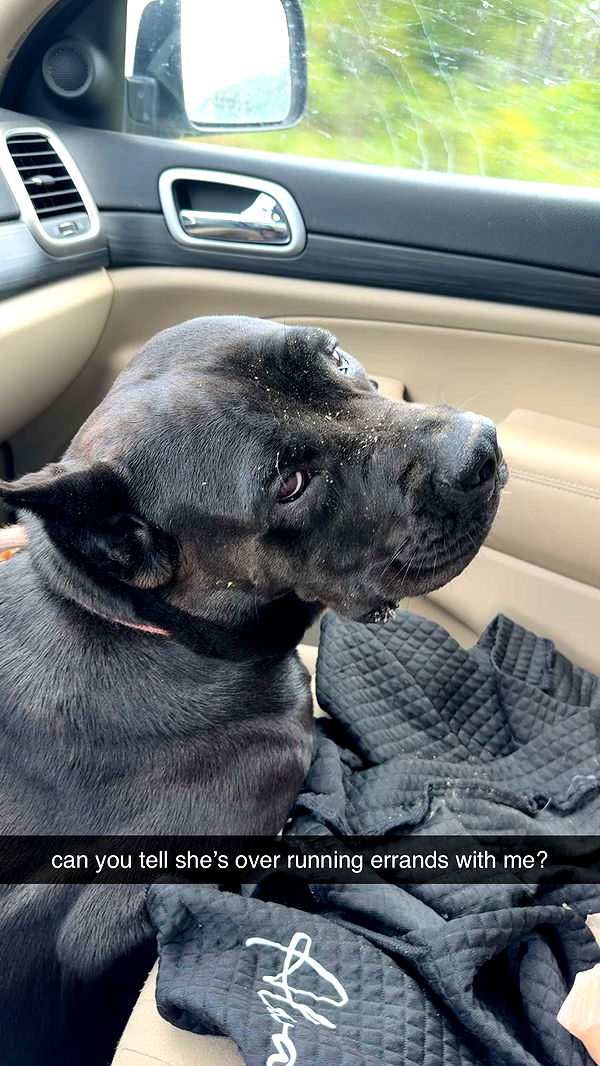 mckinley_1 image ~ Altpins