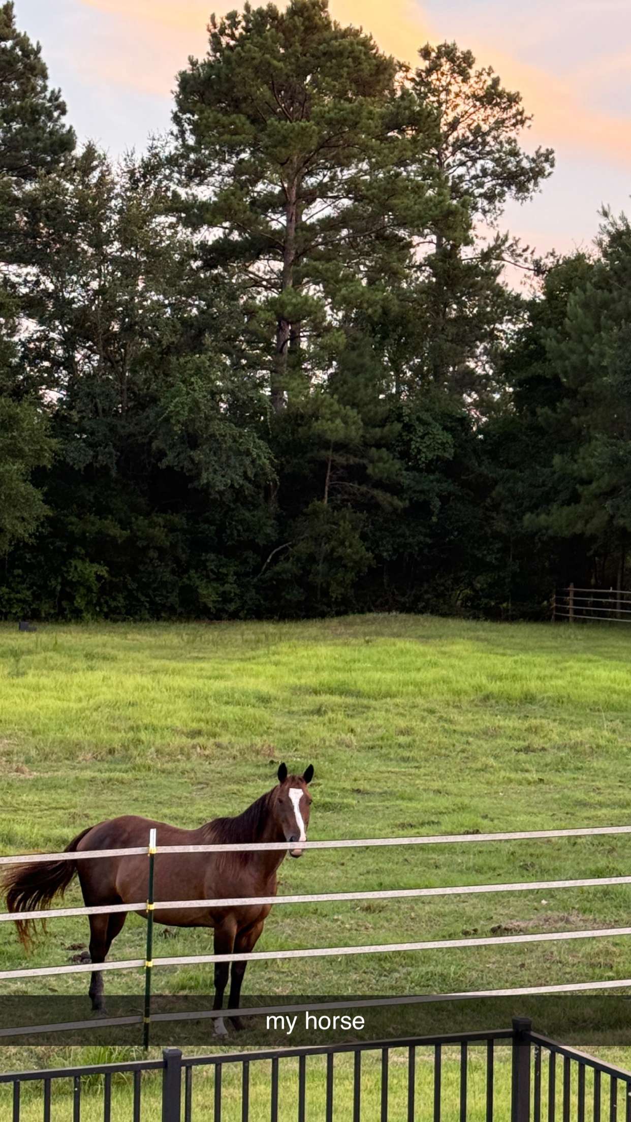 mckinley_1 snapchat image archive image