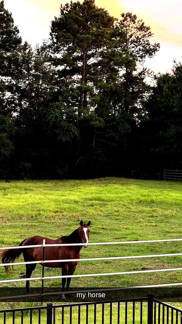 mckinley_1 image ~ Altpins