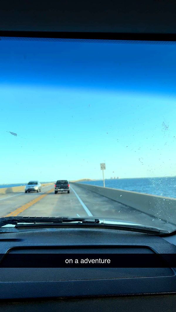 mckinley_1 image ~ Altpins