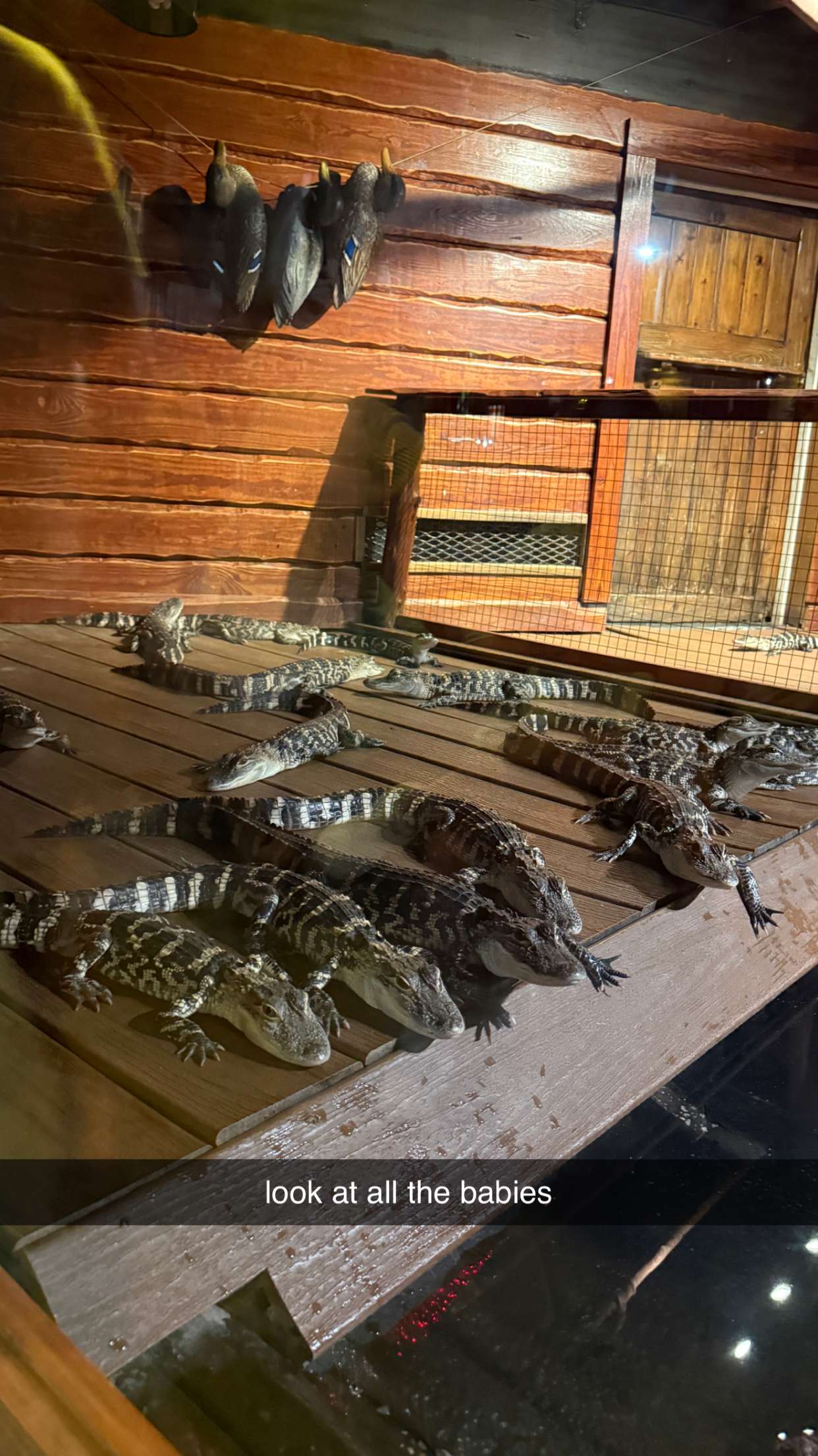 mckinley_1 snapchat image archive image