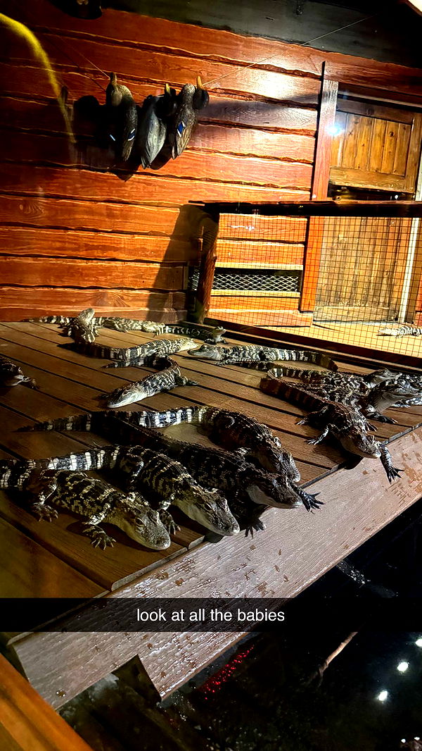 mckinley_1 image ~ Altpins