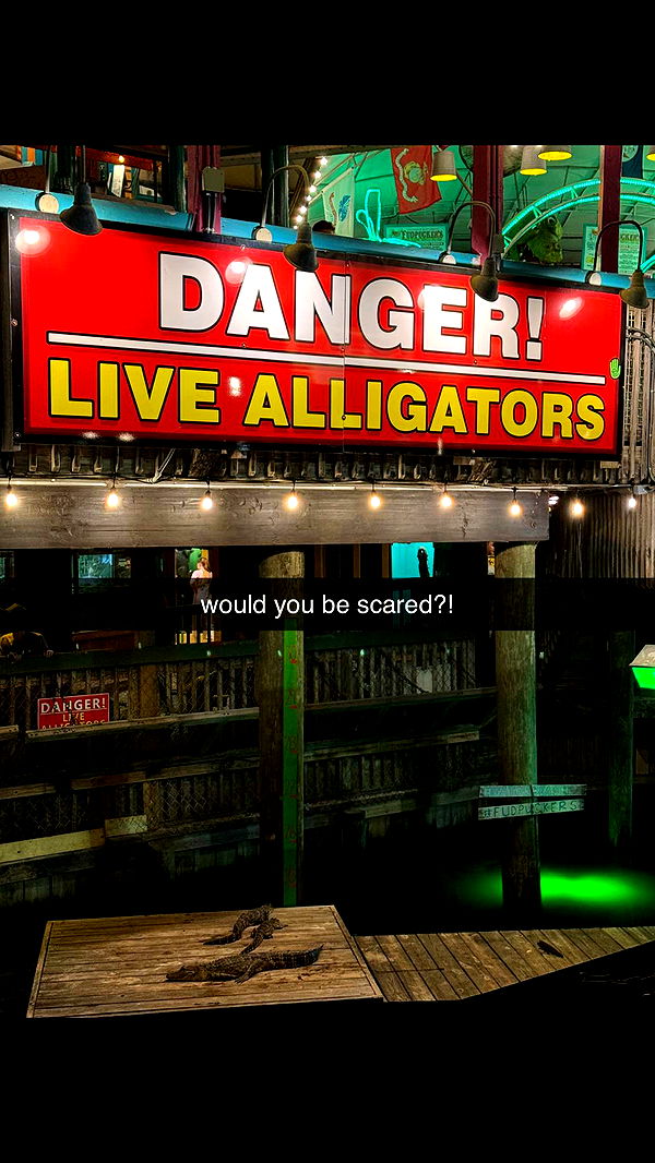 mckinley_1 image ~ Altpins