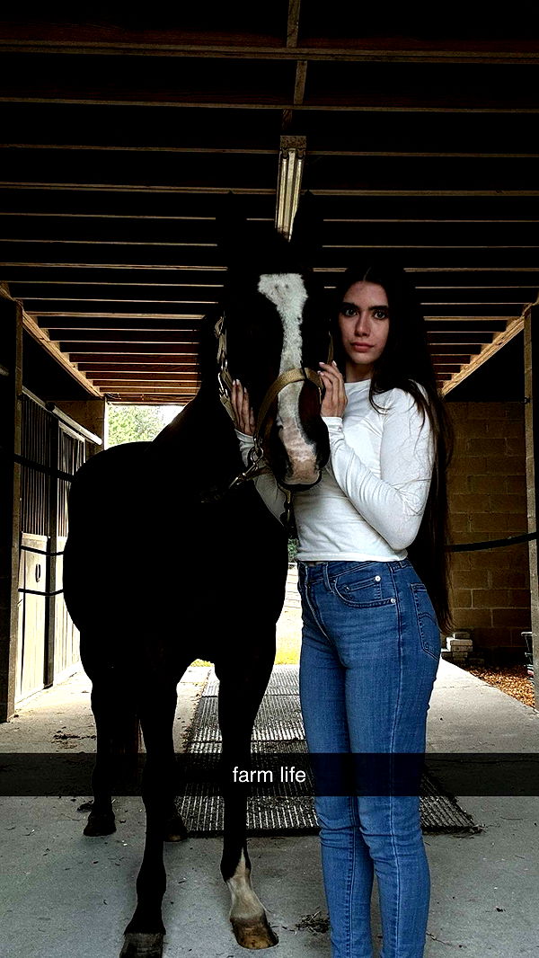 mckinley_1 image ~ Altpins