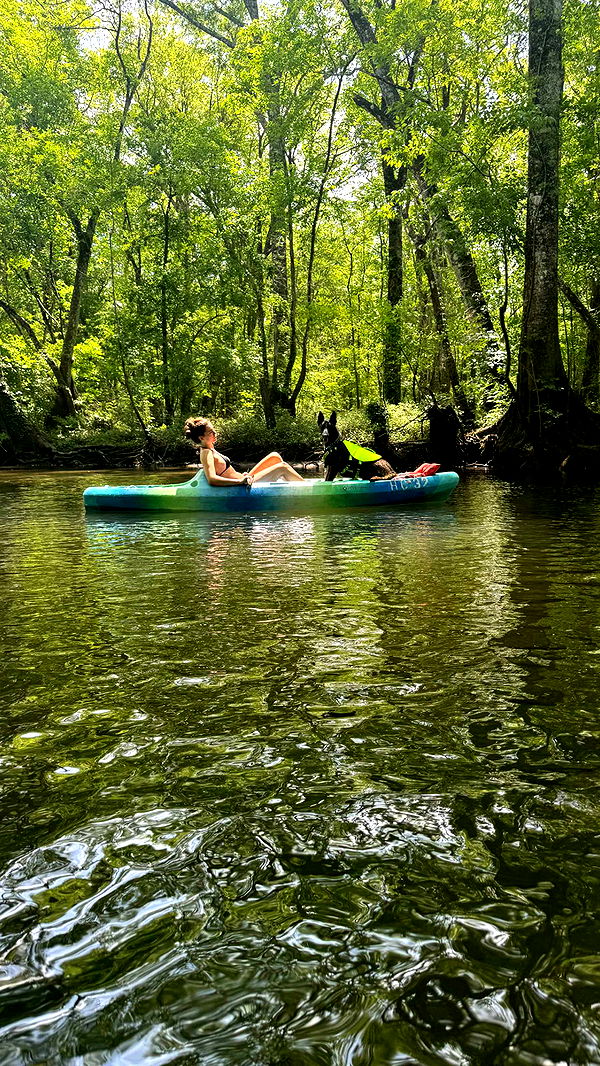 mckinley_1 image ~ Altpins