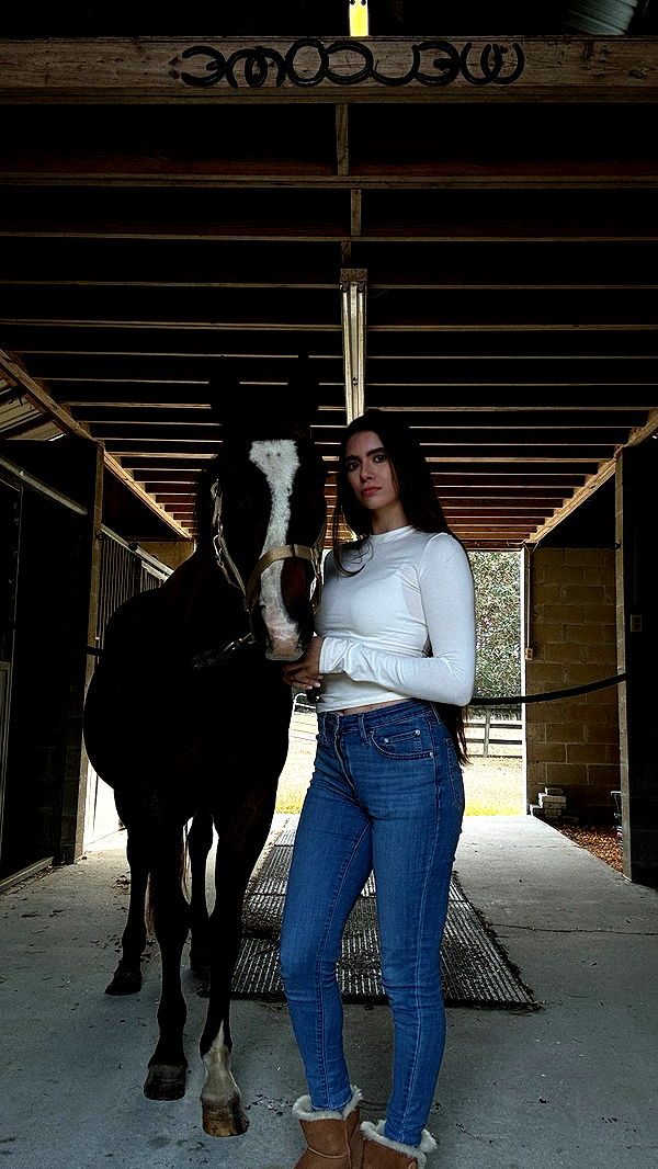 mckinley_1 image ~ Altpins