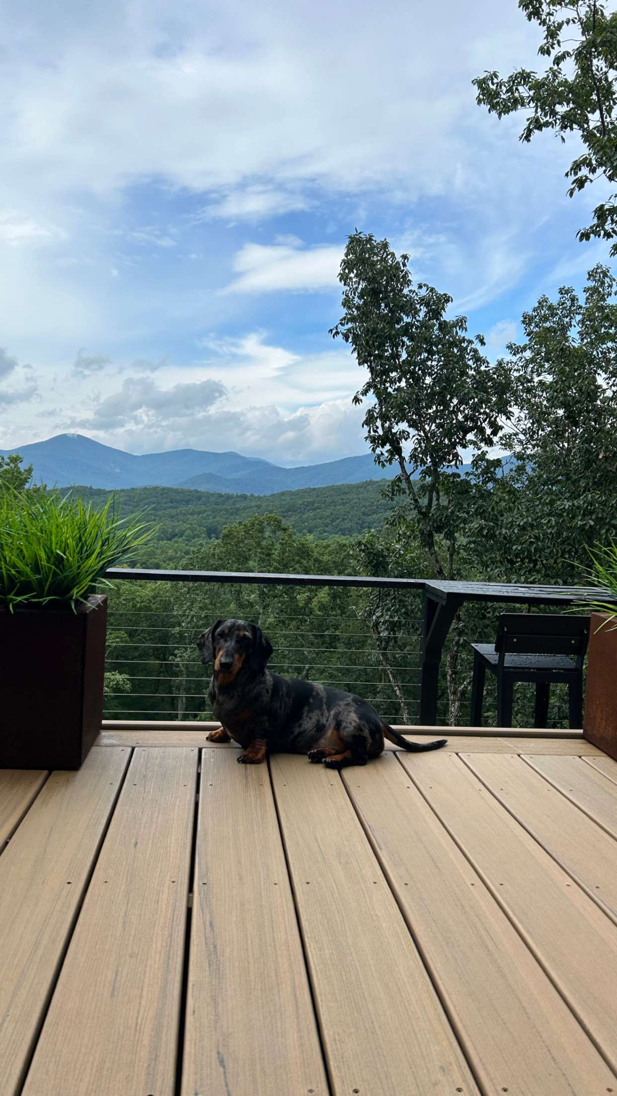 mckinley_1 snapchat image archive image